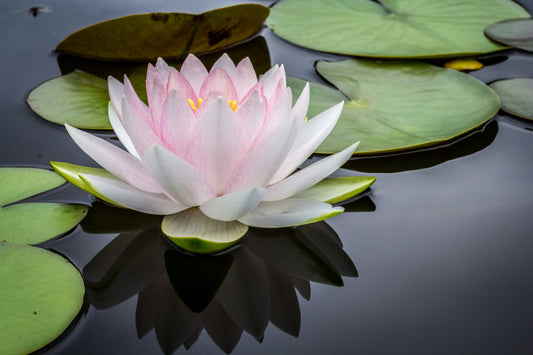 Hydrogen-rich water for improvements of mood