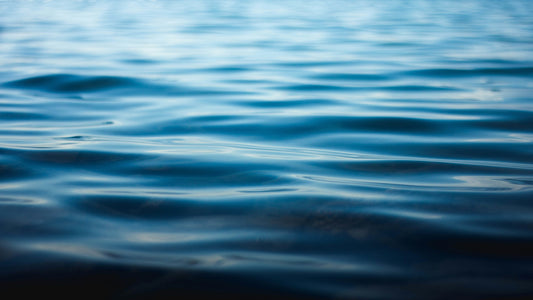 Biological Roles of Water: Why is water necessary for life?