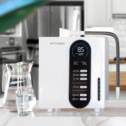 𝗕𝗶𝗼𝗻𝗶𝗰™︎ Fountain - Python Water Hydrogen Water Bottle